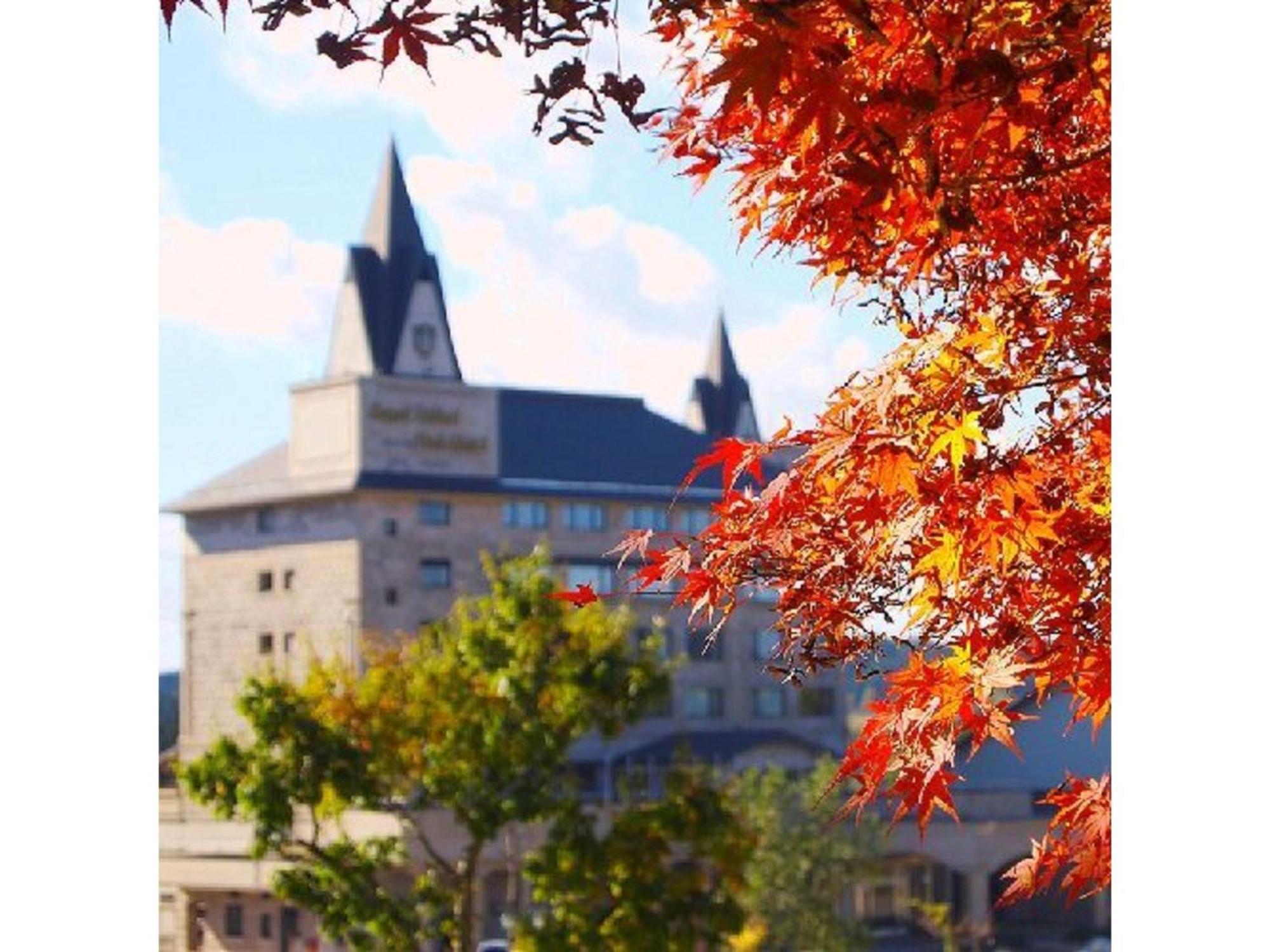 Shintainai Onsen Royal Tainai Park Hotel - Vacation Stay 90212V Buitenkant foto